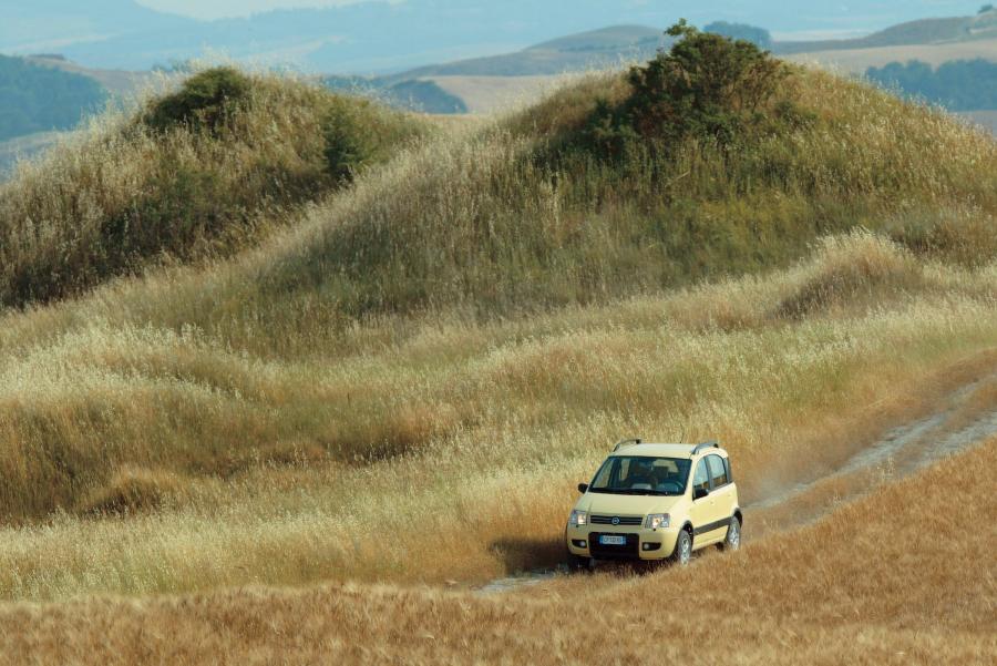  Fiat Panda 4x4 2005 года  (фото 47 из 76)